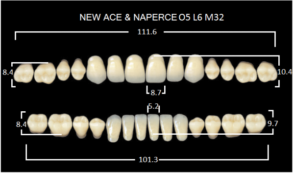Yamahachi Gloria New Ace & Naperce A3 O5/M32 - акриловые двухслойные зубы