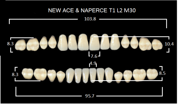 Yamahachi Gloria New Ace & Naperce A3 T1/M30 - акриловые двухслойные зубы