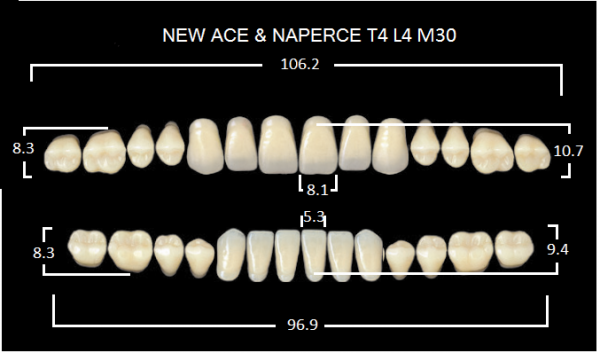 Yamahachi Gloria New Ace & Naperce A3 T4/M30 - акриловые двухслойные зубы