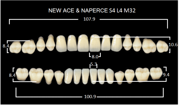 Yamahachi Gloria New Ace & Naperce A3.5 S4/M32 - акриловые двухслойные зубы