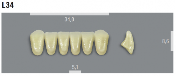 VITA MFT фронтальные нижние зубы, цвет 2L1.5 (B2), размер L34, 6 шт.