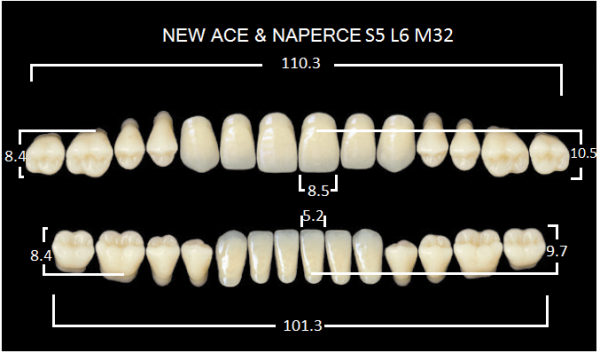 Yamahachi Gloria New Ace & Naperce A3 S5/M32 - акриловые двухслойные зубы