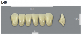 L40